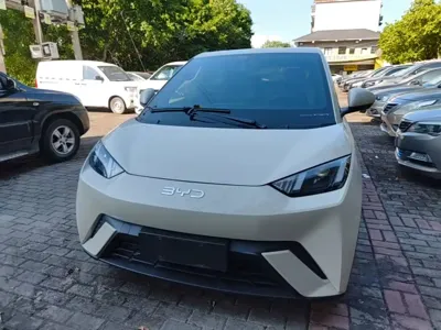 BYD Seagull