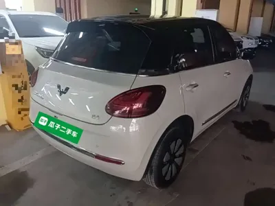 Wuling Bingo