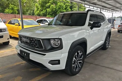 Haval H Dog