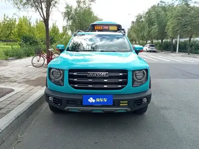 Haval Big Dog