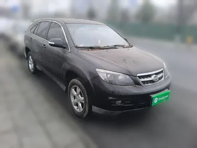 BYD S6