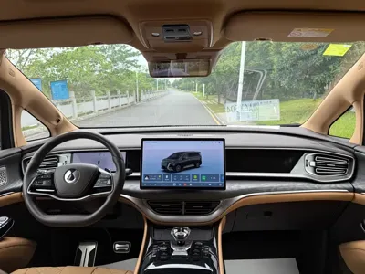 Denza Denza D9