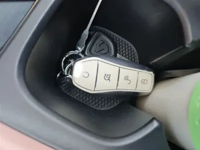 BYD Seagull