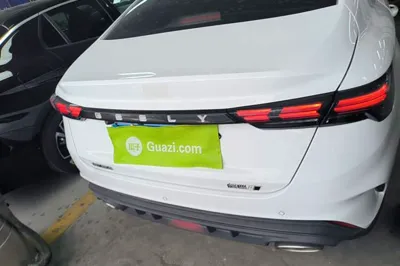 Geely Auto Binray