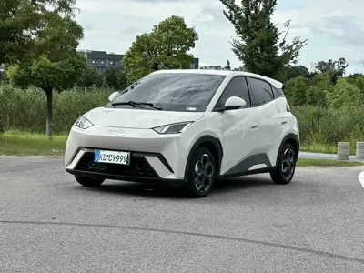 BYD Seagull