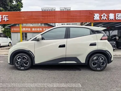 BYD Seagull