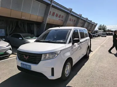 Wuling Hongguang Plus