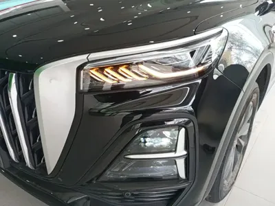 Hongqi Hongqi HS5