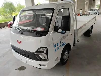 Wuling 五菱龙卡