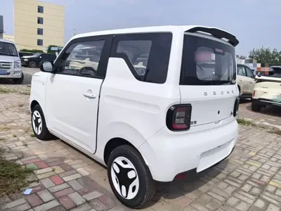 Galaxy Panda
