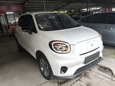 Leapmotor Leapmotor T03