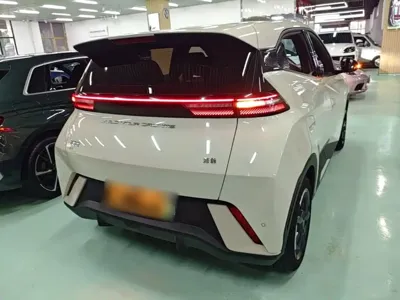 BYD Seagull