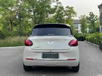 Wuling Bingo