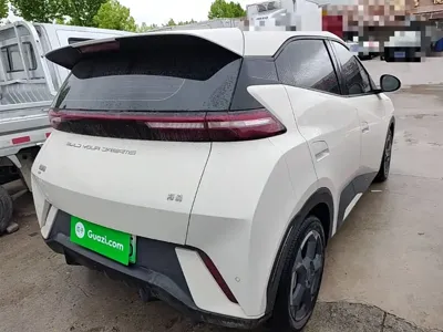 BYD Seagull