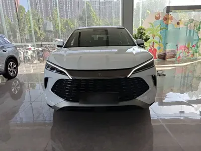 BYD L DM-i