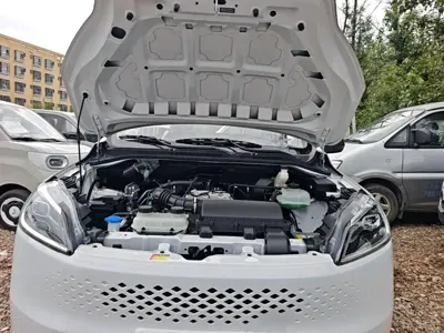 Wuling Hongguang EV