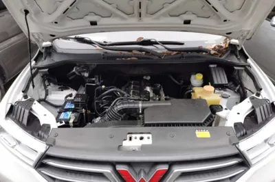 Wuling Hongguang