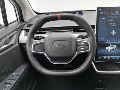 NETA Neta V