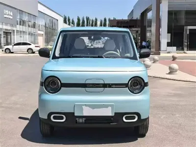 Galaxy Panda