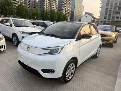 Dongfeng EV YOUNG Guang Xiaoxin