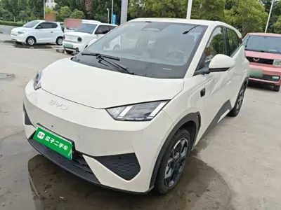 BYD Seagull