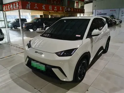 BYD Seagull