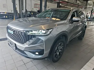 Haval H6 New Energy