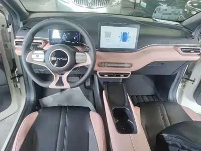 BYD Seagull
