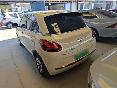Wuling Bingo