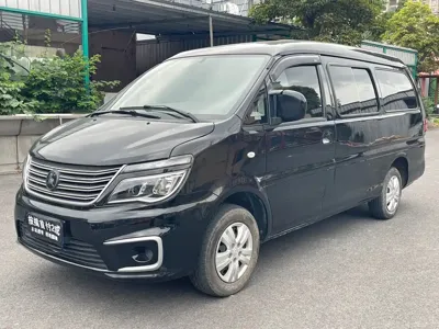 Fengxing Lingzhi