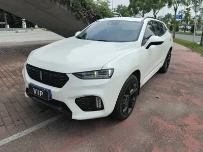 WEY Wey VV7