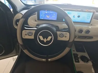 Wuling Bingo