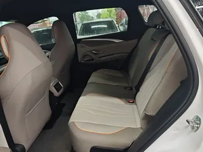 BYD Pro New Energy