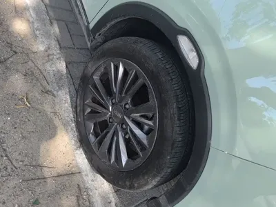 NETA Neta V
