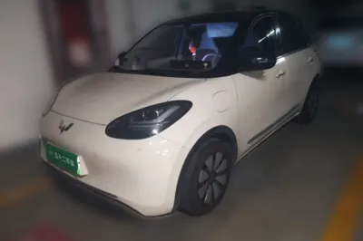 Wuling Bingo