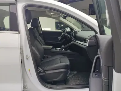 BYD Pro