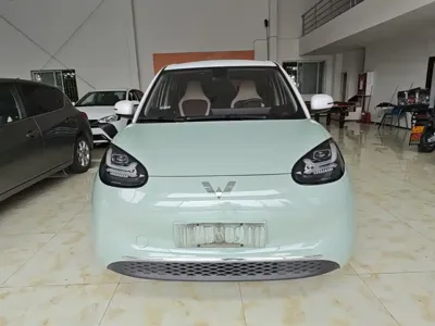 Wuling Bingo