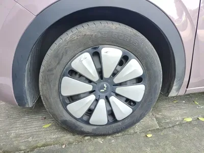 Wuling Bingo