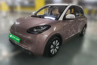 Wuling Bingo