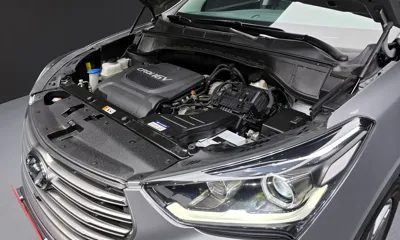Hyundai Maxcruz