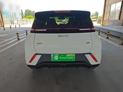 BYD Seagull
