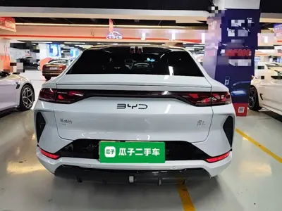 BYD L EV