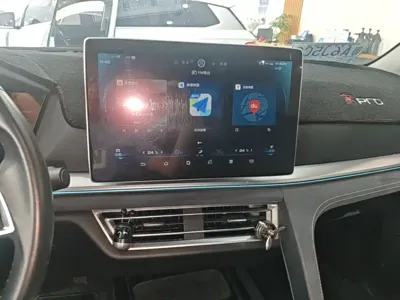 BYD Pro New Energy