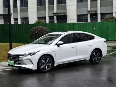 BYD Destroyer 05