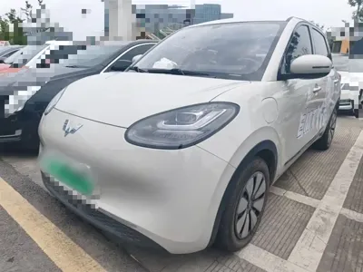 Wuling Bingo