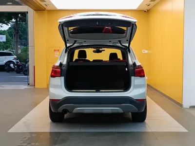 BMW X1 New Energy