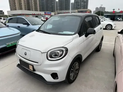 Leapmotor Leapmotor T03