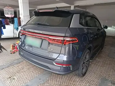 BYD Pro New Energy