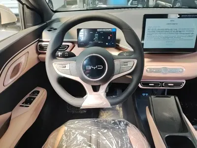 BYD Seagull