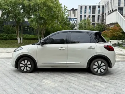 Wuling Bingo